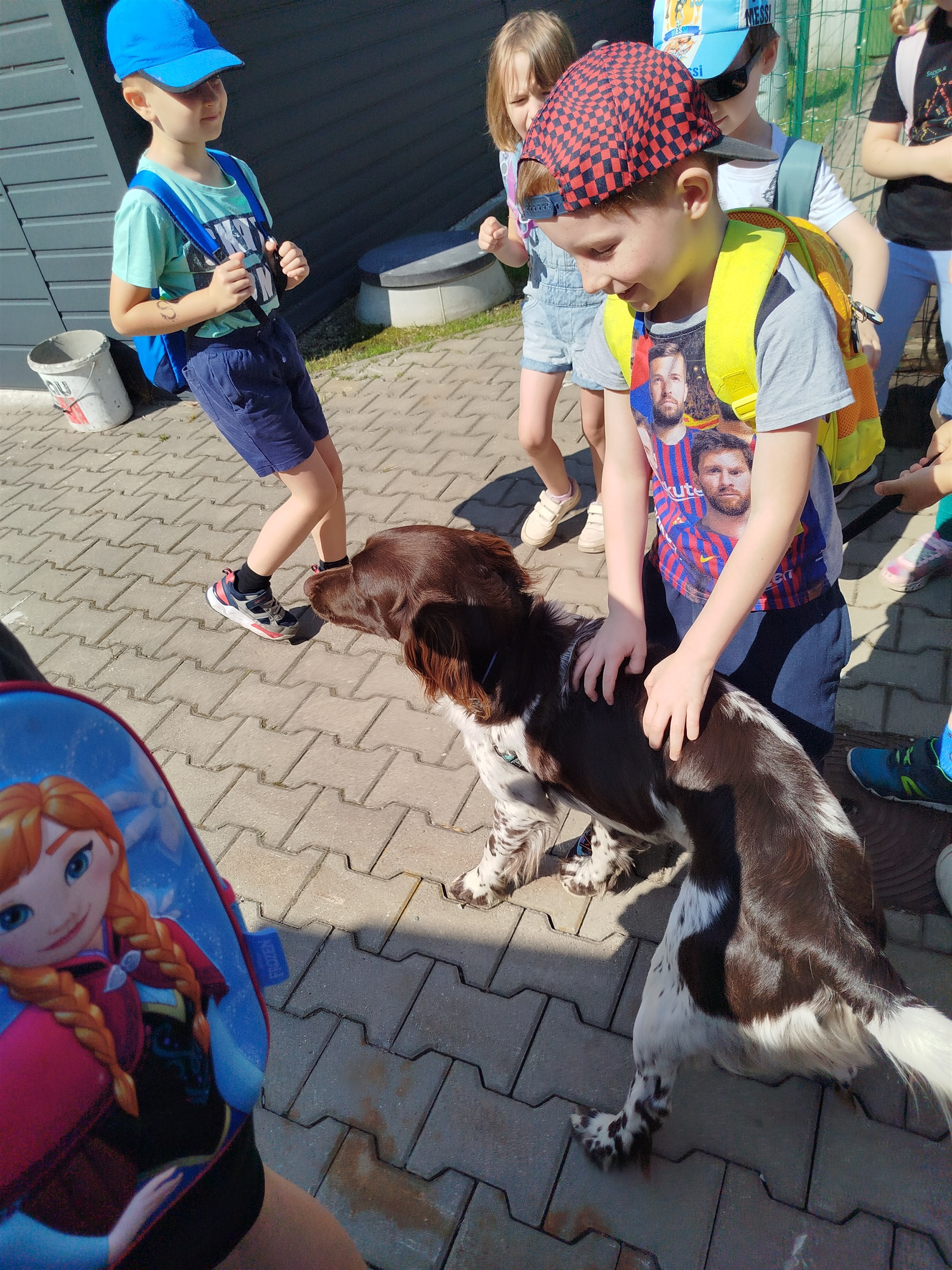 Návštěva útulku pro zvířata