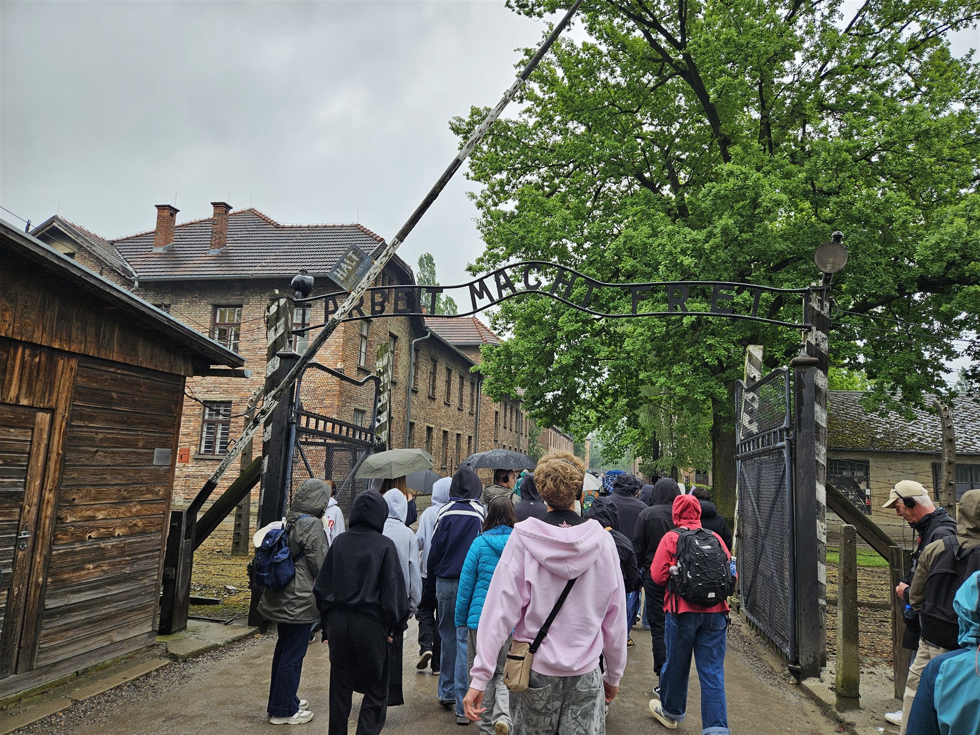 Výlet do Polska - Osvětim, Vělička, Krakov